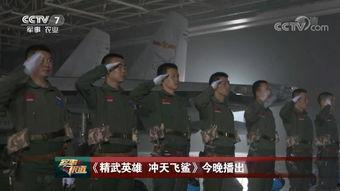 飞行员技能爆料视频播放,视频曝光背后的飞行奥秘 第2张 飞行员技能爆料视频播放,视频曝光背后的飞行奥秘 第2张